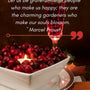 Grateful. This Week We Count Our Blessings - Island Thyme Soap Company