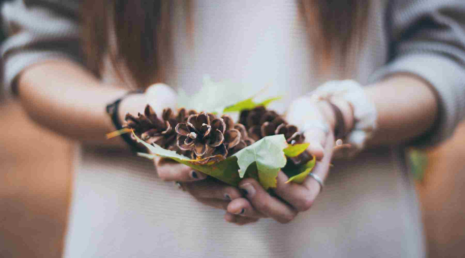 How To Make Scented Pinecones: A Step-by-Step Guide - Island Thyme Soap Company