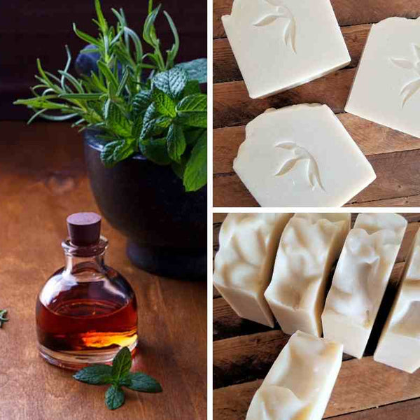 Rosemary Mint Coconut Milk Soap - Island Thyme Soap Company