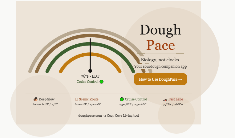 How to Make Bulk Fermentation Easier Using the DoughPace App