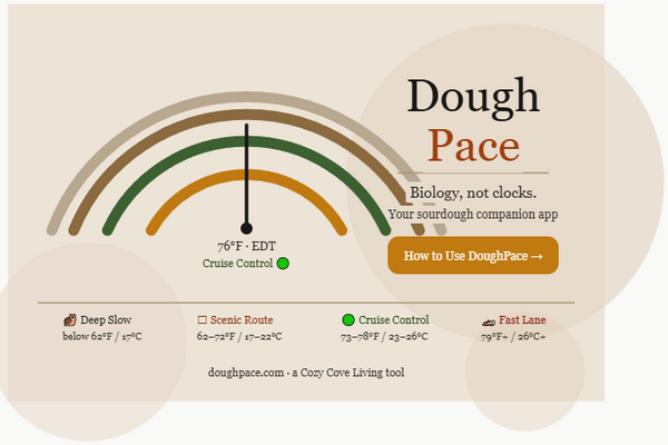 How to Make Bulk Fermentation Easier Using the DoughPace App