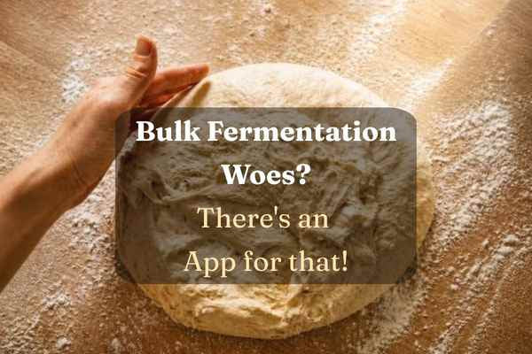 I Built a Sourdough App. Here's the Honest Story of Why.