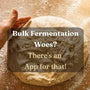 I Built a Sourdough App. Here's the Honest Story of Why.