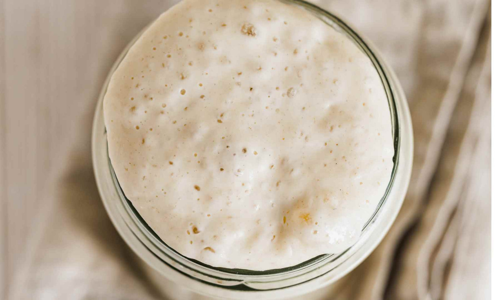 The Great Sourdough Starter Naming Crisis:
