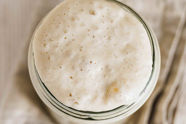 The Great Sourdough Starter Naming Crisis: