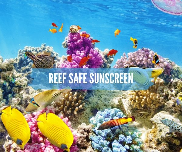 Best Sunscreen For You And Our Marine Life for 2023 - Island Thyme Soap Company