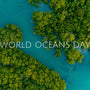 Celebrating World Oceans Day 2023 - Island Thyme Soap Company