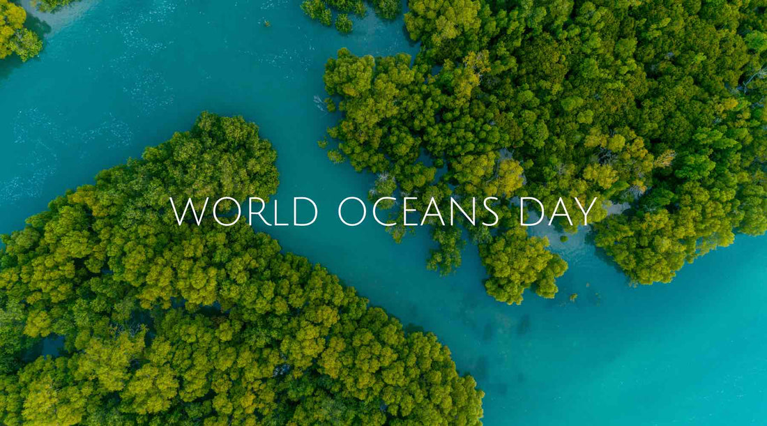 Celebrating World Oceans Day 2023 - Island Thyme Soap Company