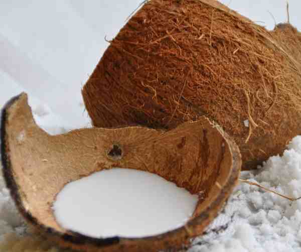 Coconut Milk in Handmade Soap - Island Thyme Soap Company