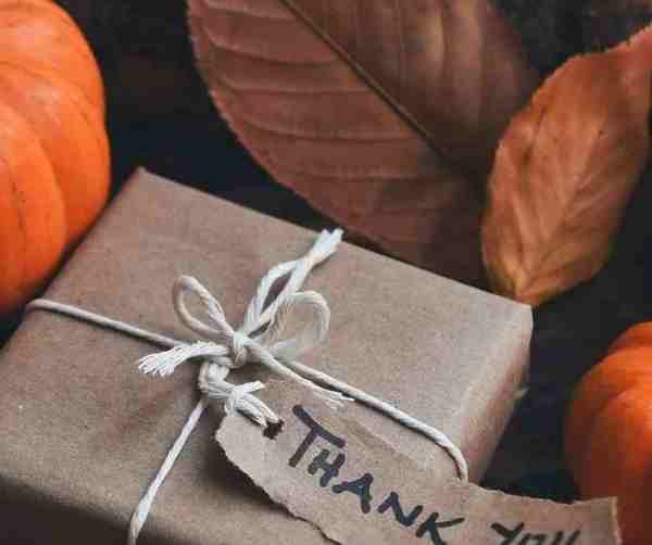 Finding Gratitude in November 2020 - Island Thyme Soap Company
