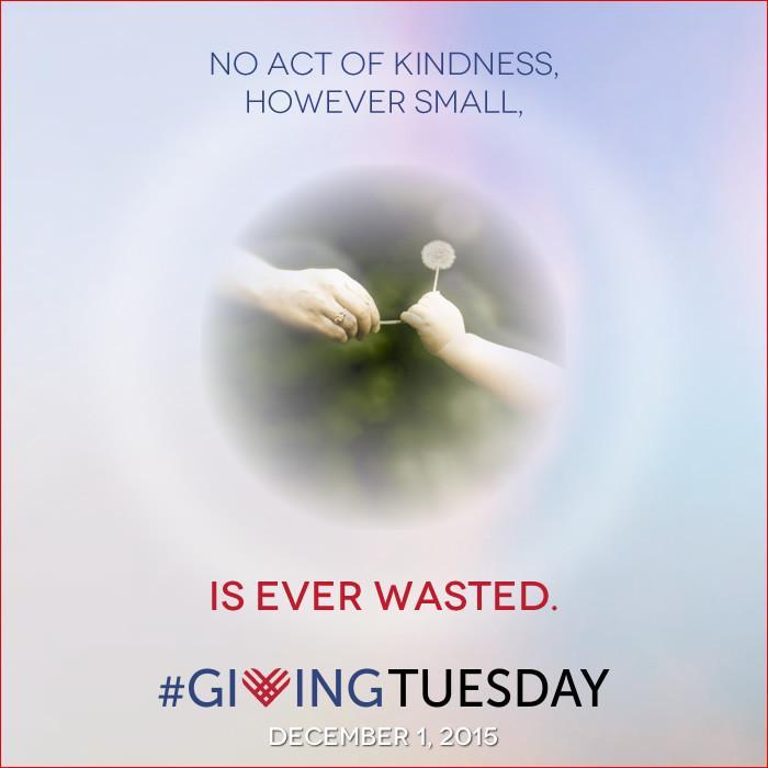 Giving Tuesday. No Act of Kindness is Ever Wasted - Island Thyme Soap Company