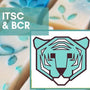 Island Thyme Soap Company Hearts Big Cat Rescue - Island Thyme Soap Company