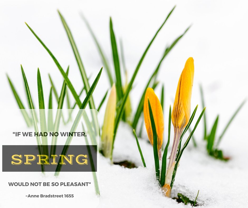 Spring -The Season of New Beginnings. - Island Thyme Soap Company