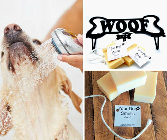 Woof! Your Dog Smells…GOOD! - Island Thyme Soap Company