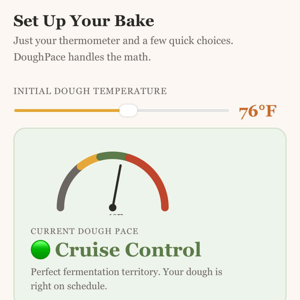 DoughPace sourdough companion app showing the bulk fermentation dashboard with dough pace gauge, temperature log, and stretch-and-fold reminders