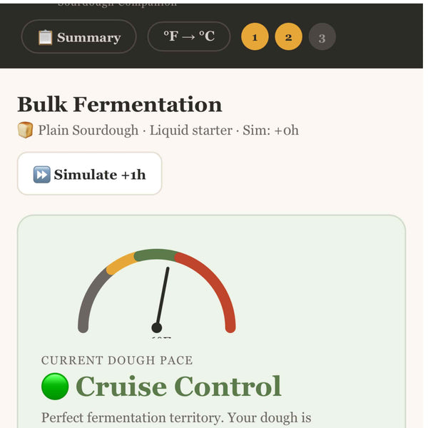 Screenshot of a bulk fermentation simulation tool for plain sourdough with a gauge and 'Cruise Control' label.