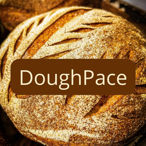 DoughPace sourdough bulk fermentation companion app