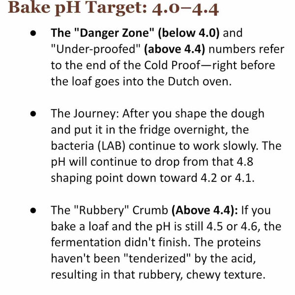 The Sourdough Scientist: Midnight Mocha Masterclass