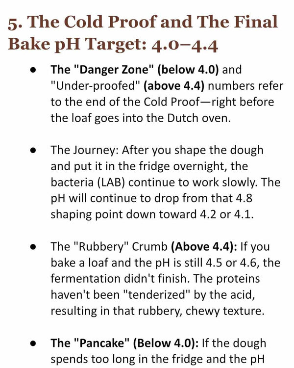 The Sourdough Scientist: Midnight Mocha Masterclass