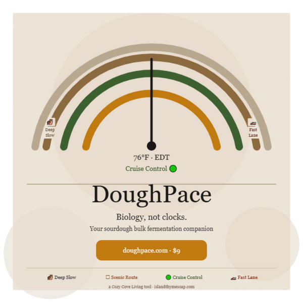 DoughPace sourdough app featured image showing the pace gauge with Cruise Control reading at 76°F, the tagline Biology not clocks, and the four dough pace zones from Deep Slow to Fast Lane on a warm taupe backgroun