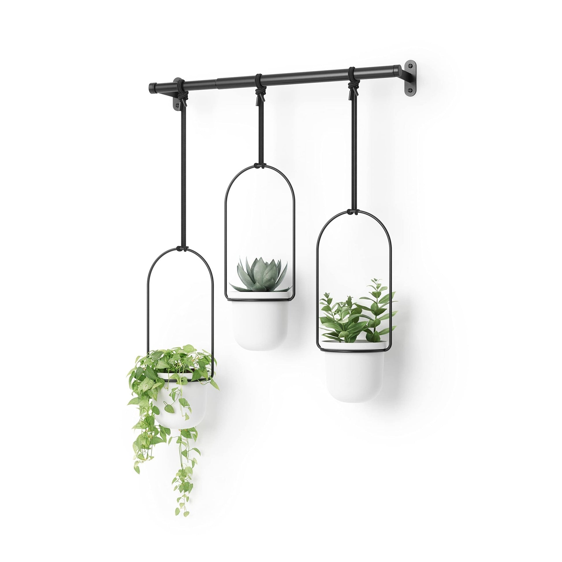 Umbra Triflora Hanging Planter - Set of 3 - Island Thyme Soap Company