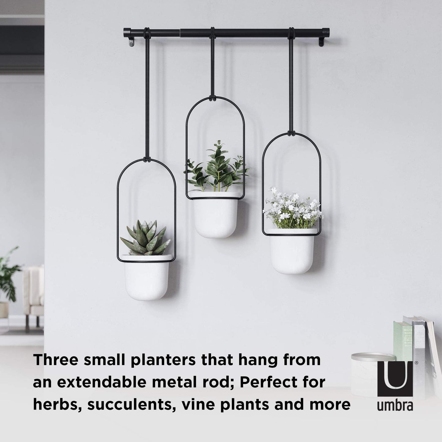 Umbra Triflora Hanging Planter - Set of 3 - Island Thyme Soap Company