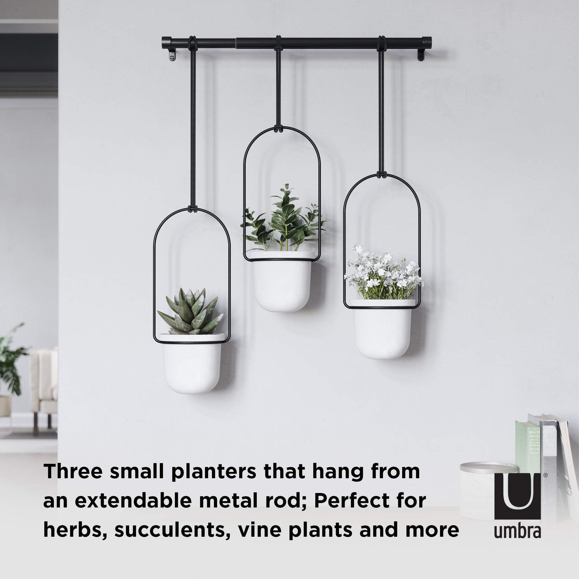 Umbra Triflora Hanging Planter - Set of 3 - Island Thyme Soap Company