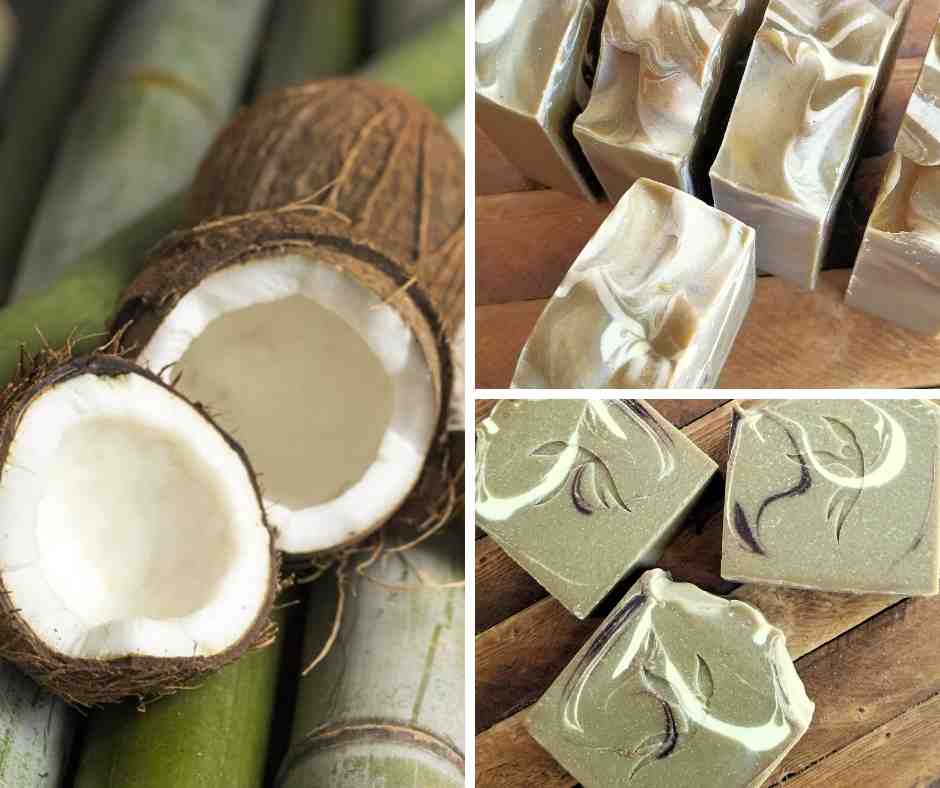Fresh Cut Bamboo and Coconut Milk Soap - Island Thyme Soap Company