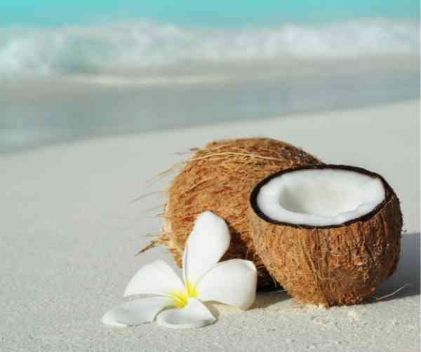 Island Coconut Scented Coconut Milk Soap - Island Thyme Soap Company