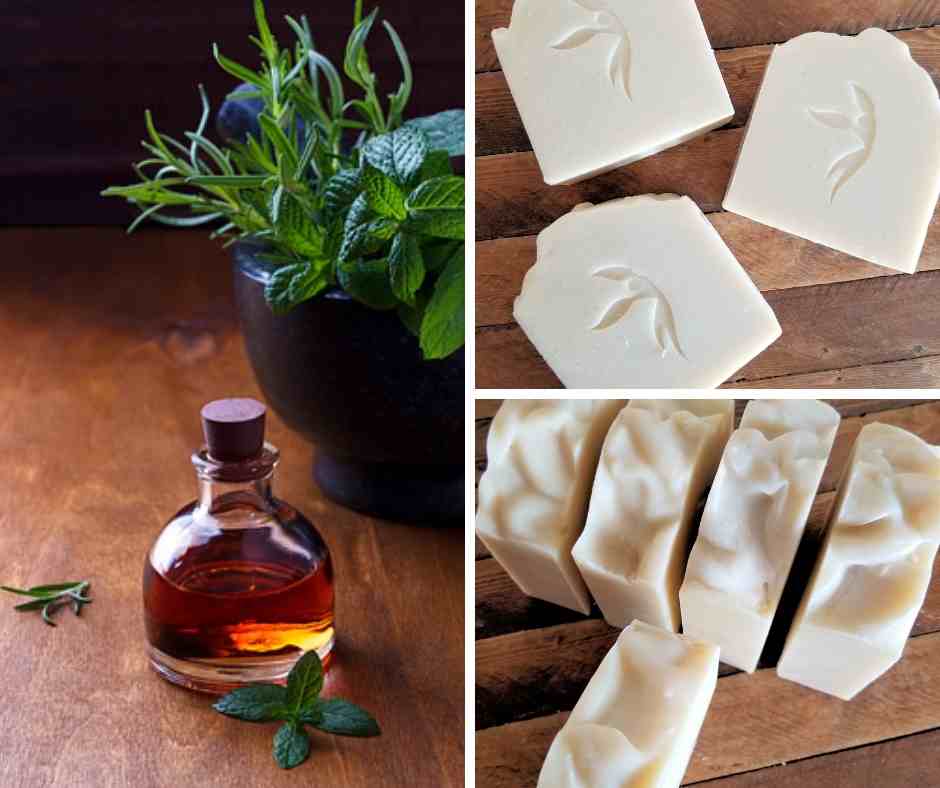 Rosemary Mint Coconut Milk Soap - Island Thyme Soap Company